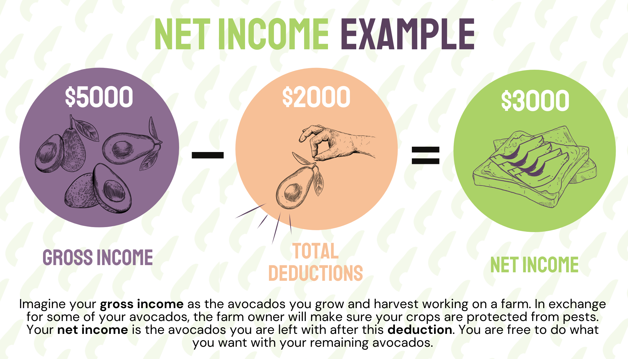 An infographic illustrating the process of making avocado toast as a pile of avocados, someone picking one of the avocados, and then making avocado toast. Each step represents gross income, total deductions, and net income, respectively. At the bottom of the image is text explaining what net income is. 